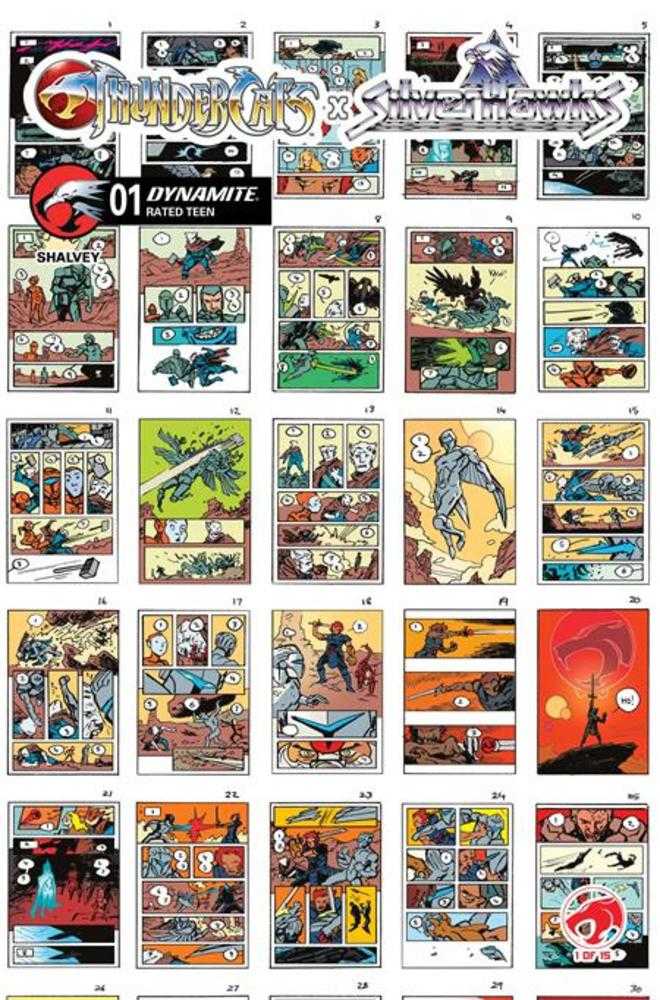 Thundercats X Silverhawks #1 Cover I 1:10 Shalvey Variant