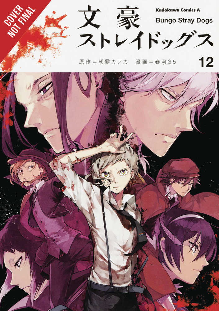 Bungo Stray Dogs Graphic Novel Volume 12
