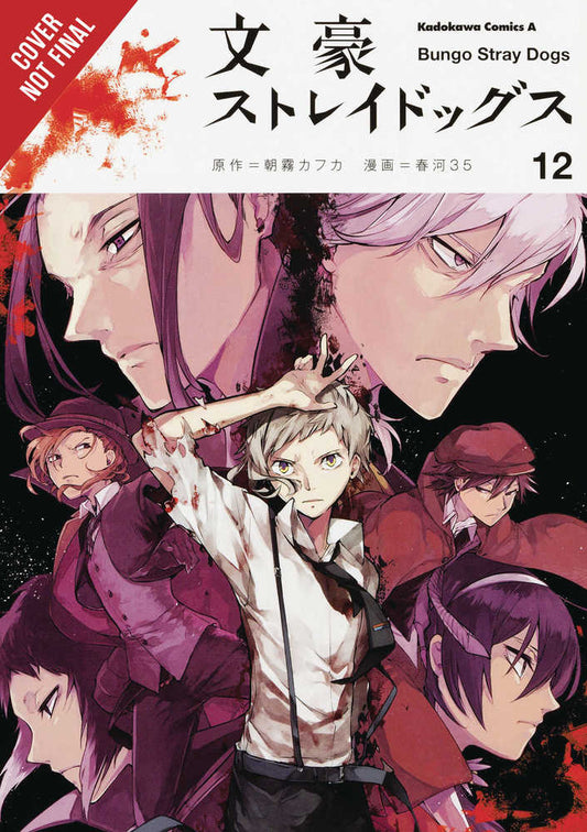 Bungo Stray Dogs Graphic Novel Volume 12