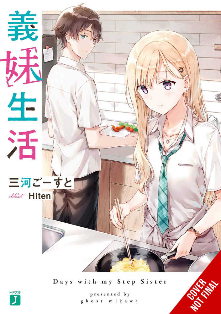 Days With My Stepsister Novel Softcover Volume 01