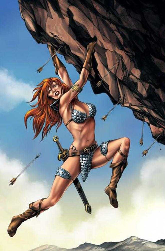 Red Sonja She Devil With A Sword #4 Cover I 1:10 Mike Rooth Full Art Variant